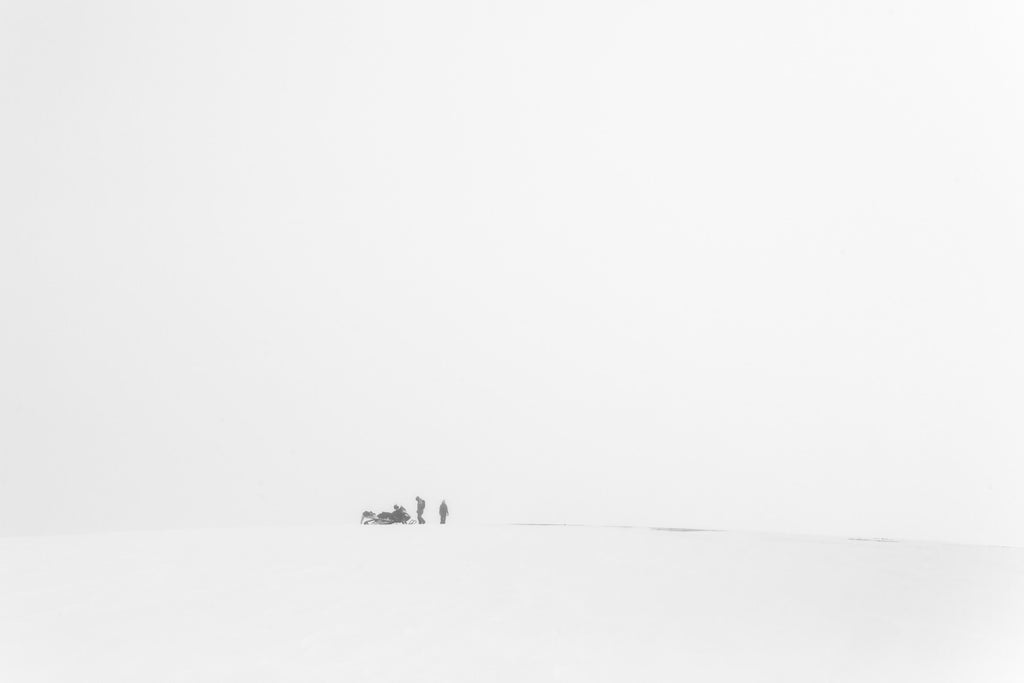 Perdidos en lo blanco