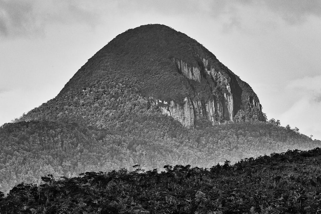 Pan de azúcar