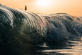 La joven del mar 