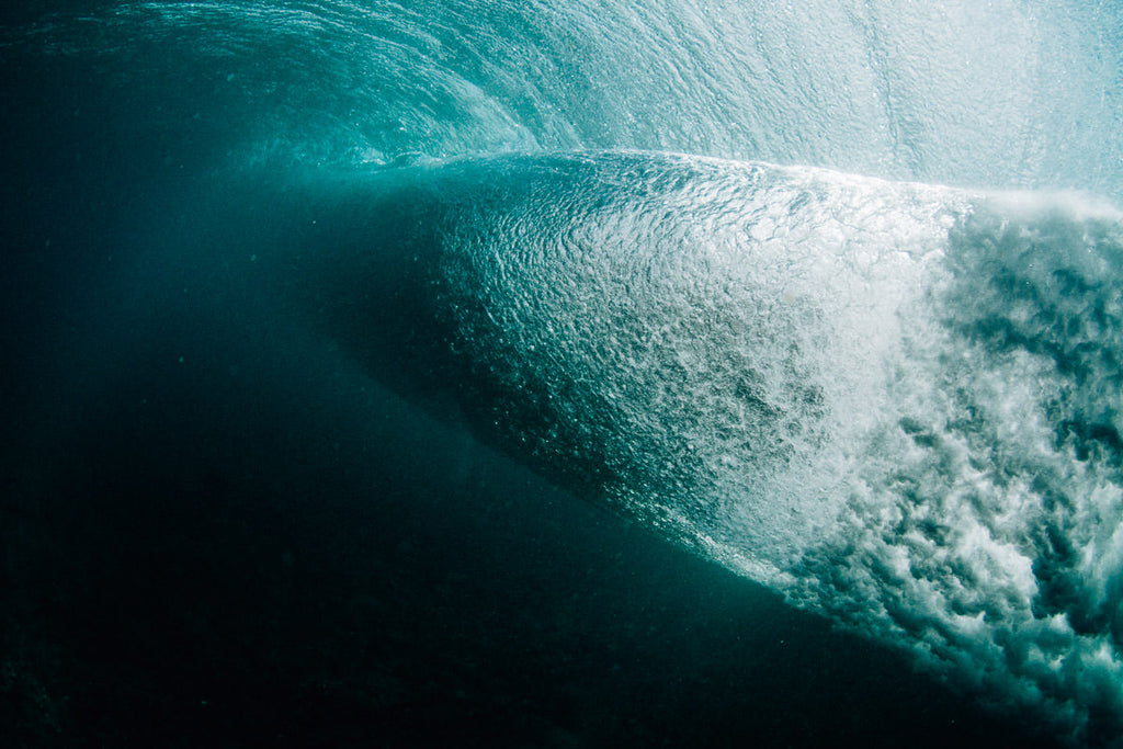 Bajo el mar