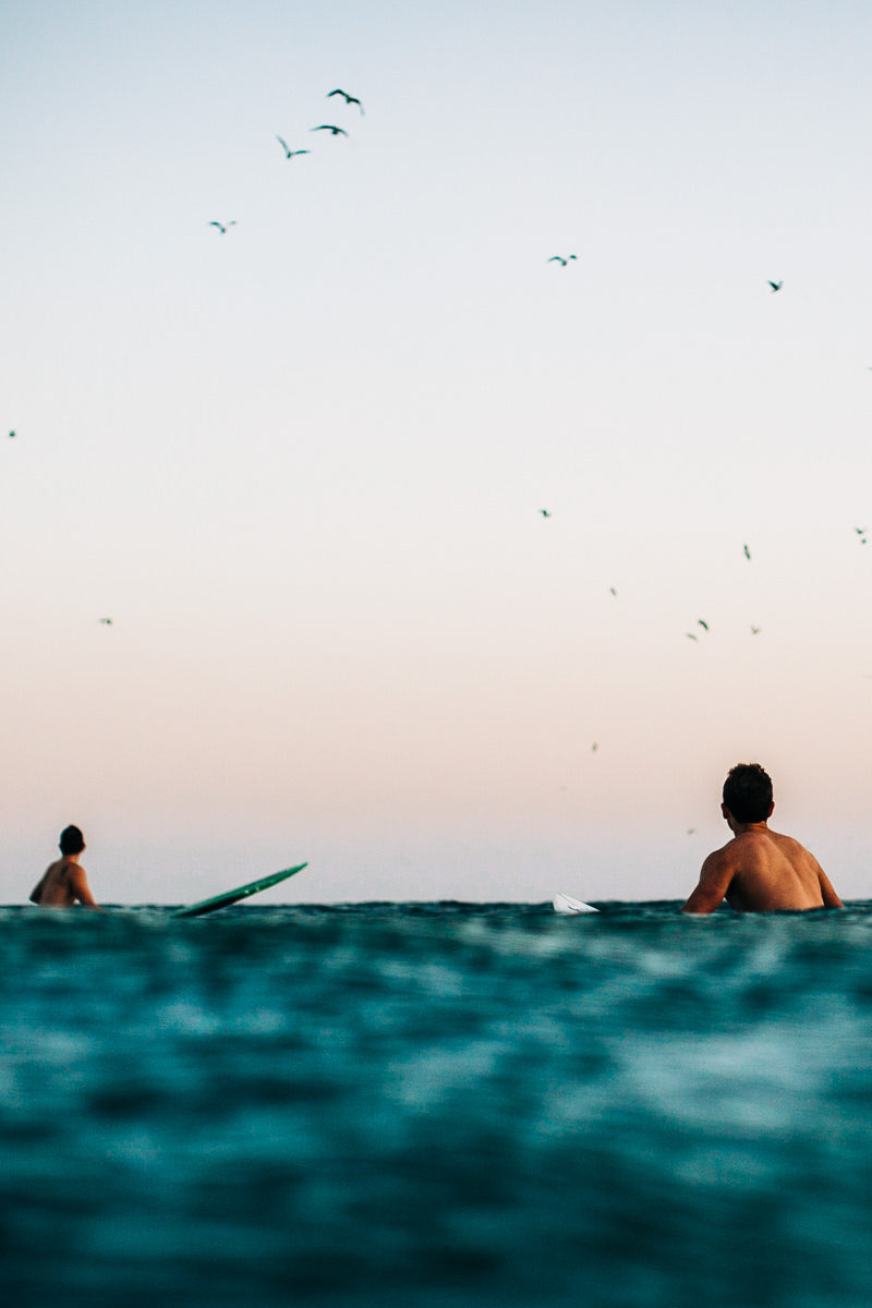 Virtudes del Surf