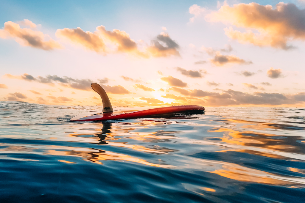 Single Fin