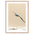 albatros-real__madera-cuadrado-stock