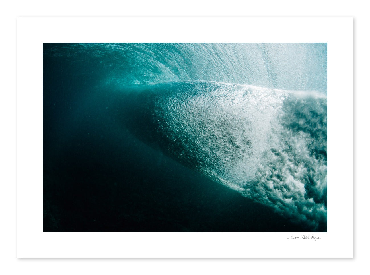 Bajo el mar