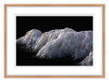 Cosmos — Stock Galería