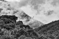 Al paso - foto original