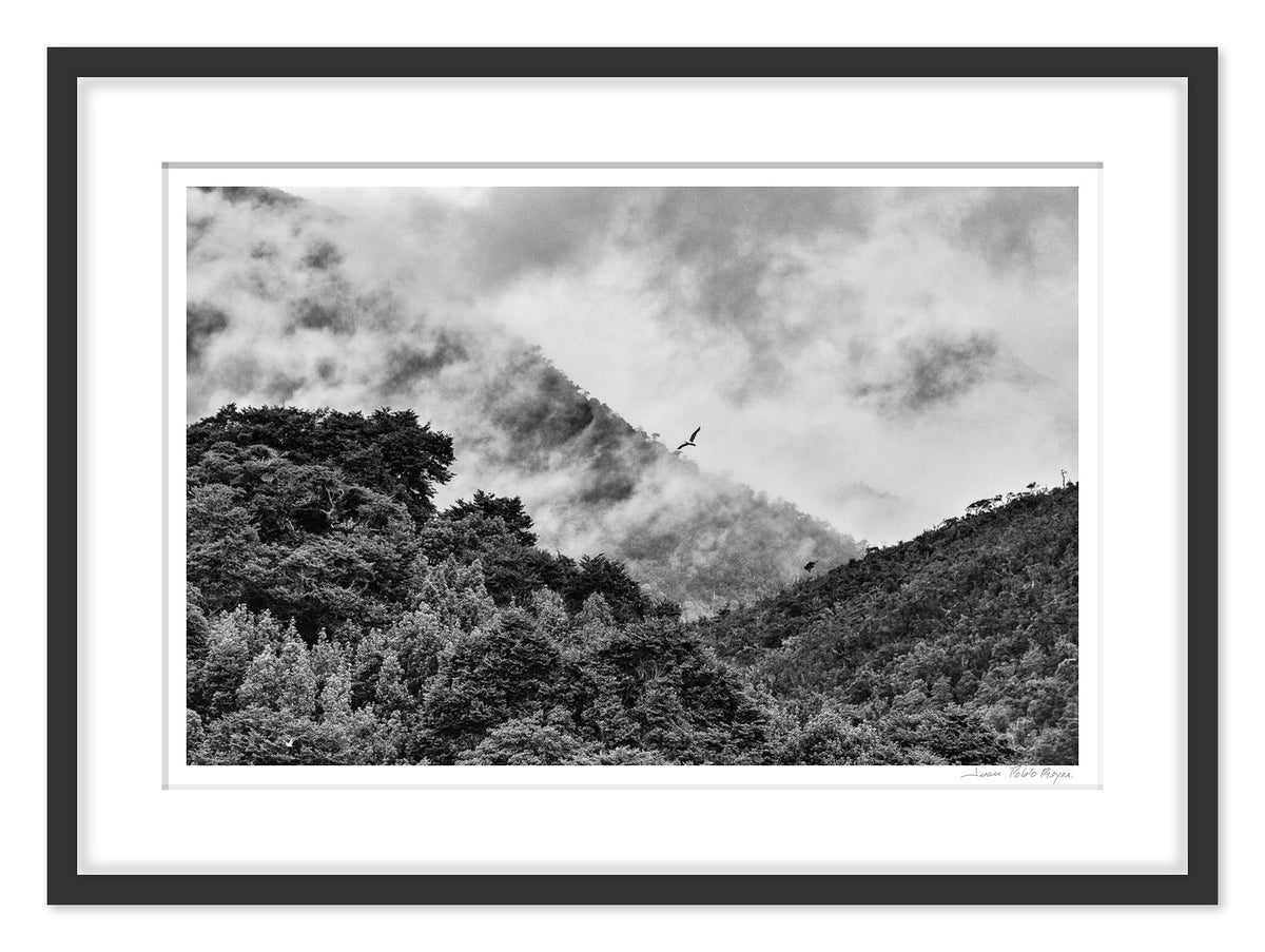 Al paso - Enmarcado / 43 x 33 / Negro