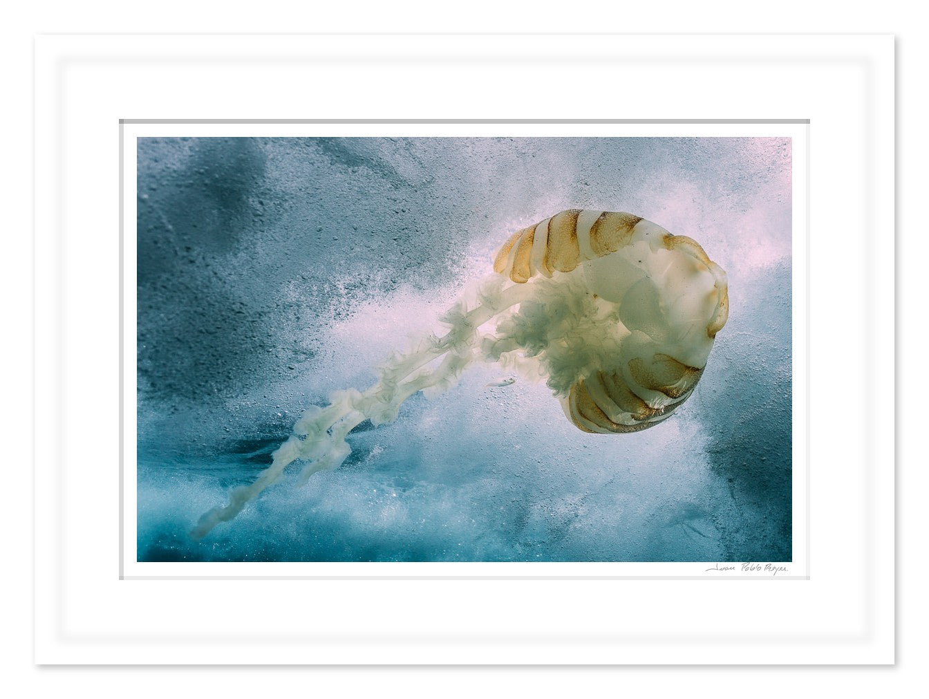 Falling