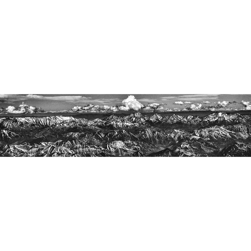 La cebra de Los Andes - foto original