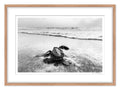 La Gran Aventura BW — Stock Galería