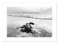 La Gran Aventura BW — Stock Galería