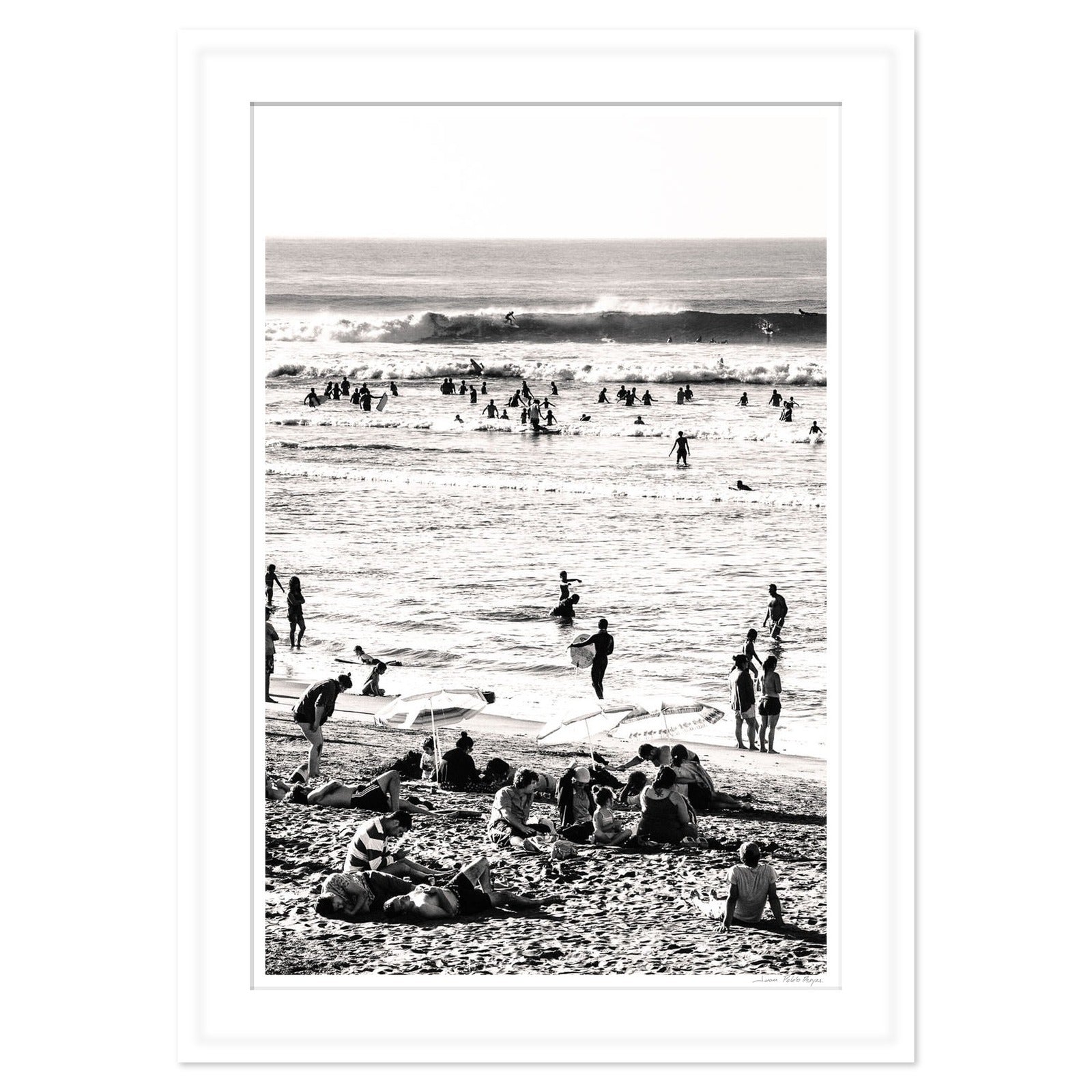 Lobos en la playa