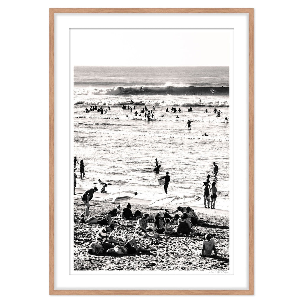Lobos en la playa