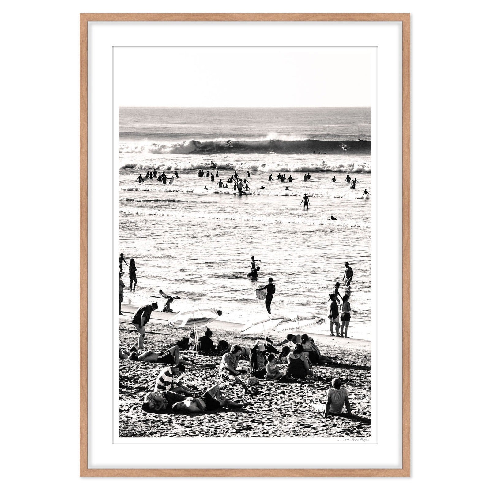 Lobos en la playa