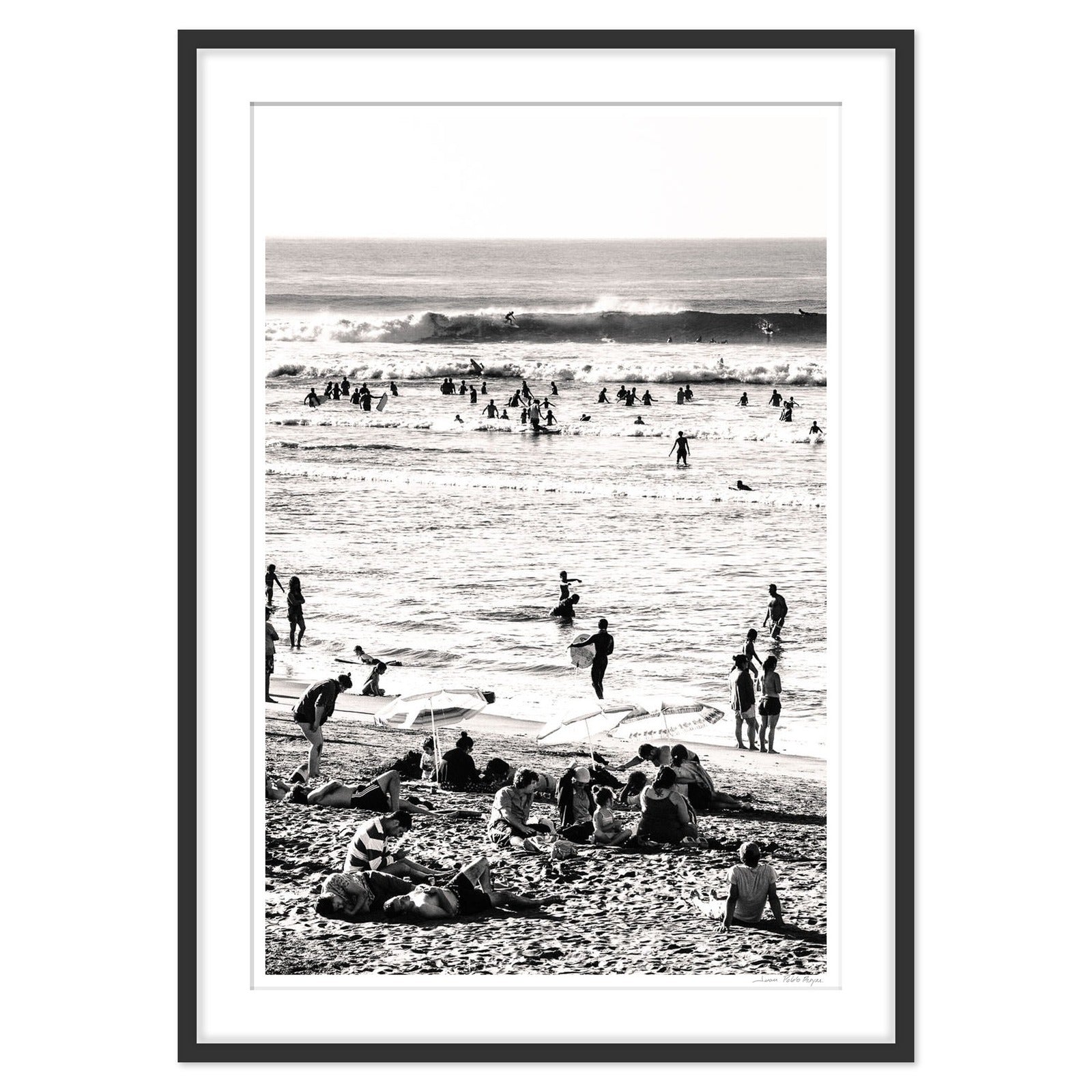 Lobos en la playa