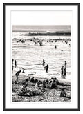 Lobos en la playa