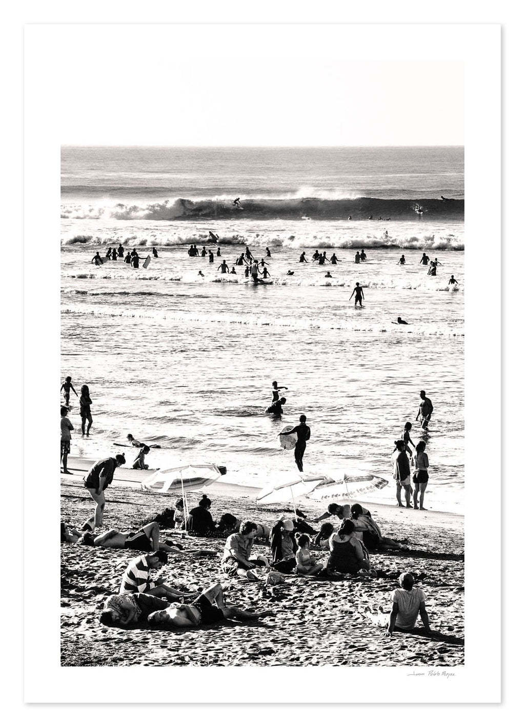 Lobos en la playa