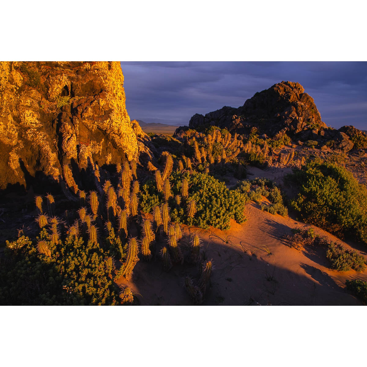 Luz del desierto - fotografía original