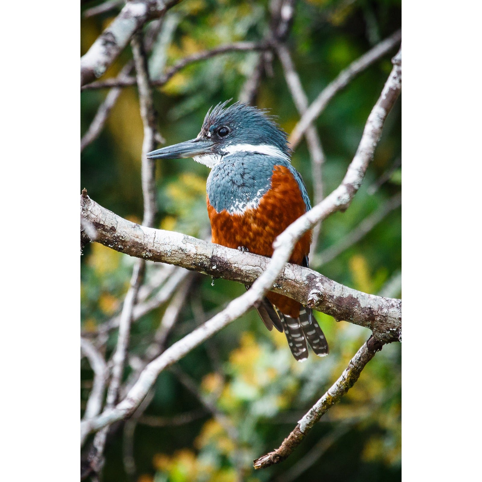 martin-en-patagonia__00-original-cuadrado