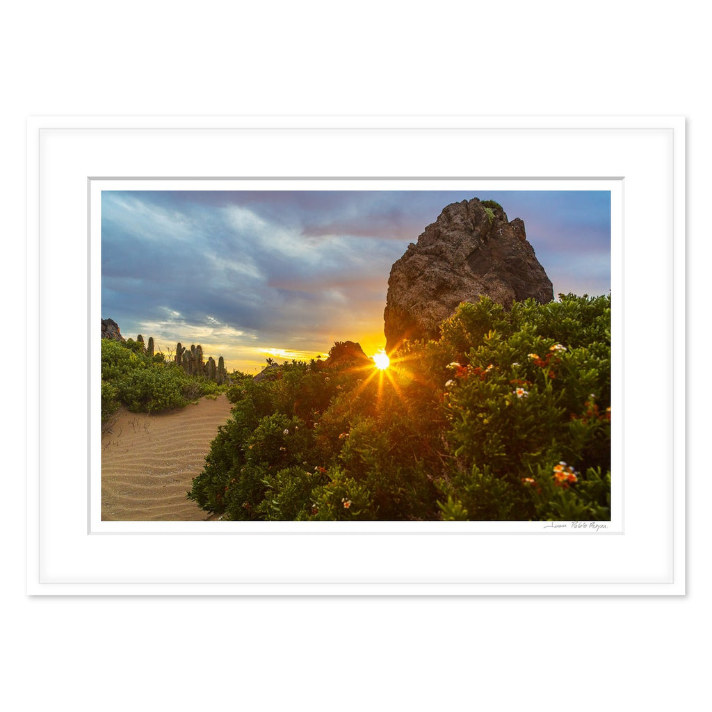 Paisaje pedregoso - enmarcado blanco