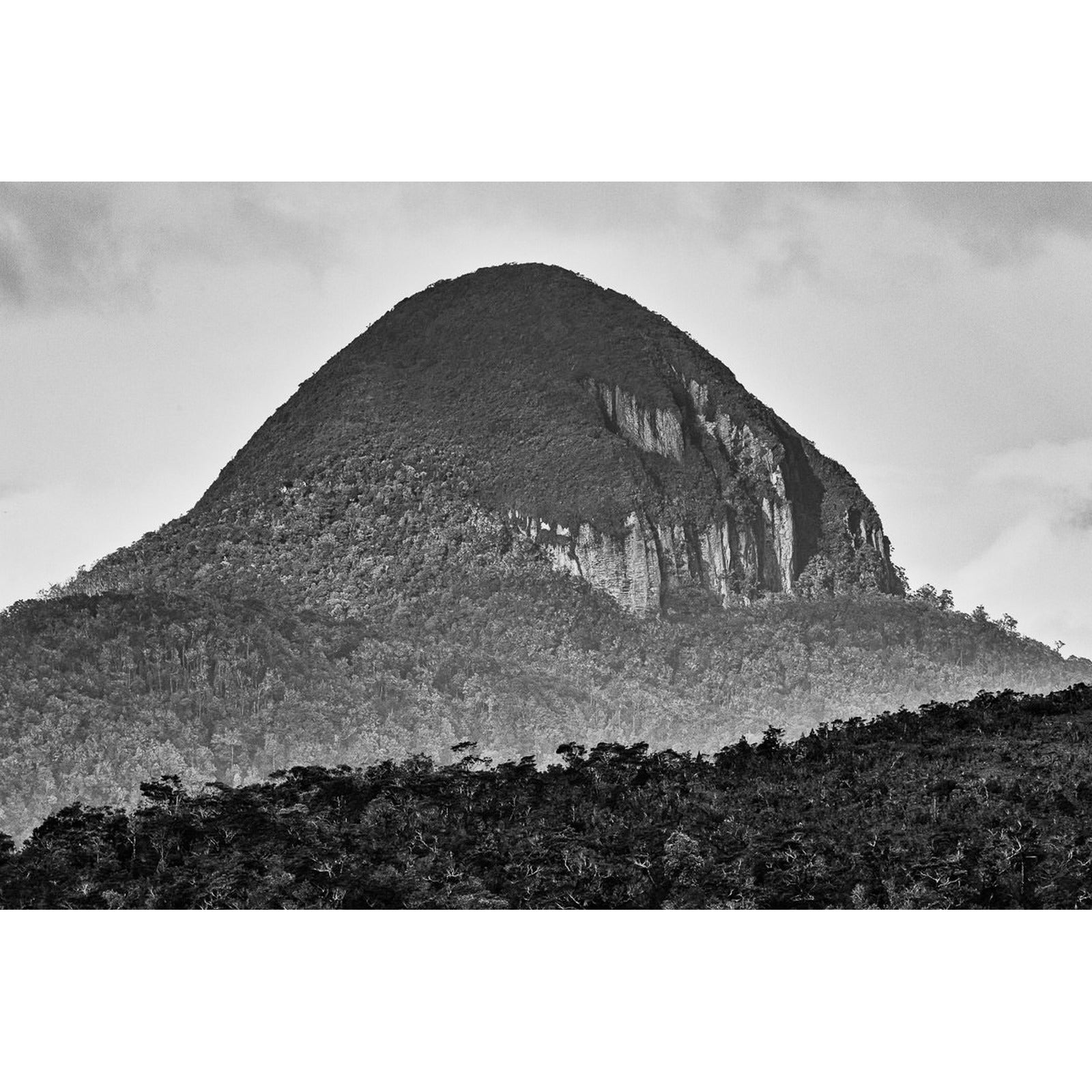 Pan de azúcar