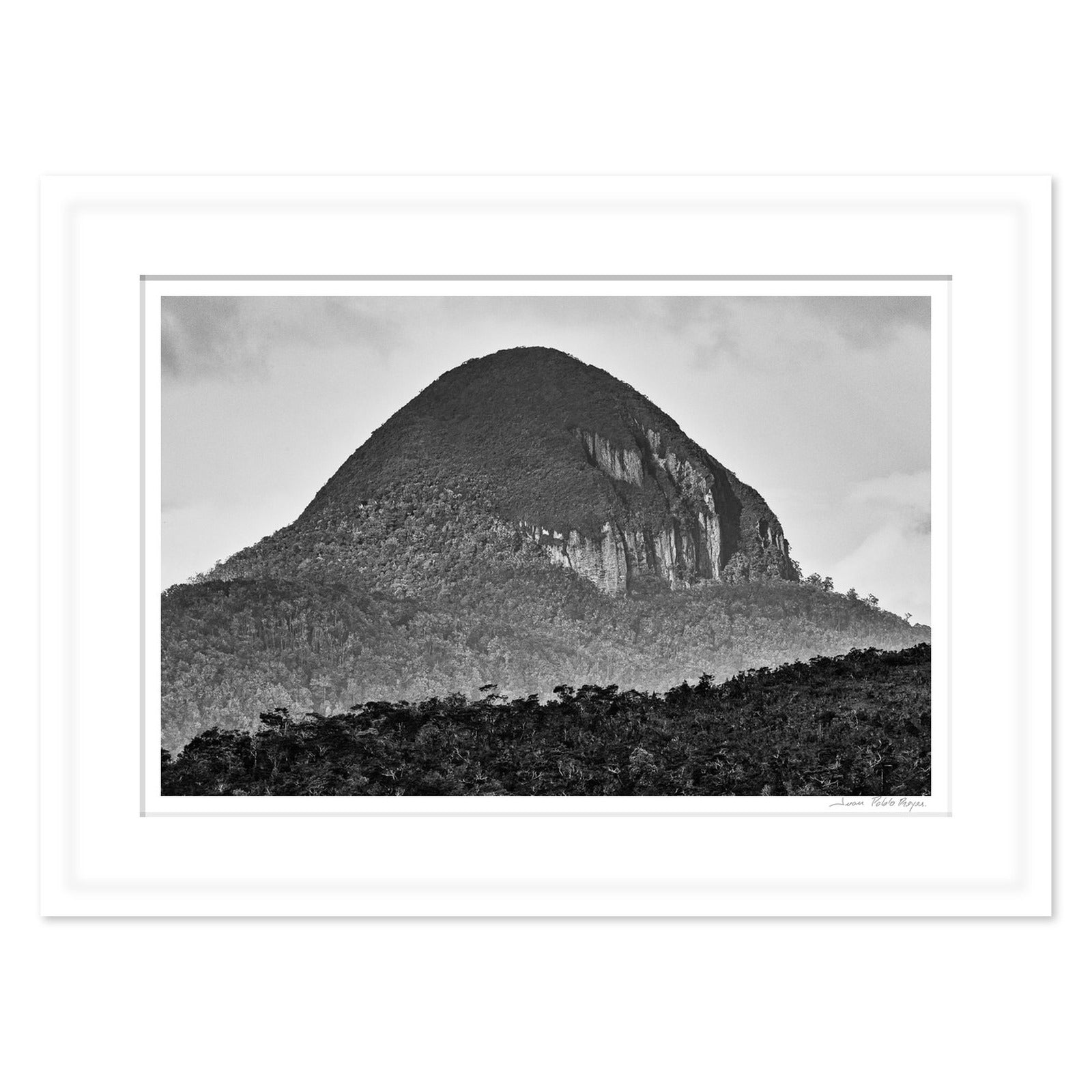 Pan de azúcar