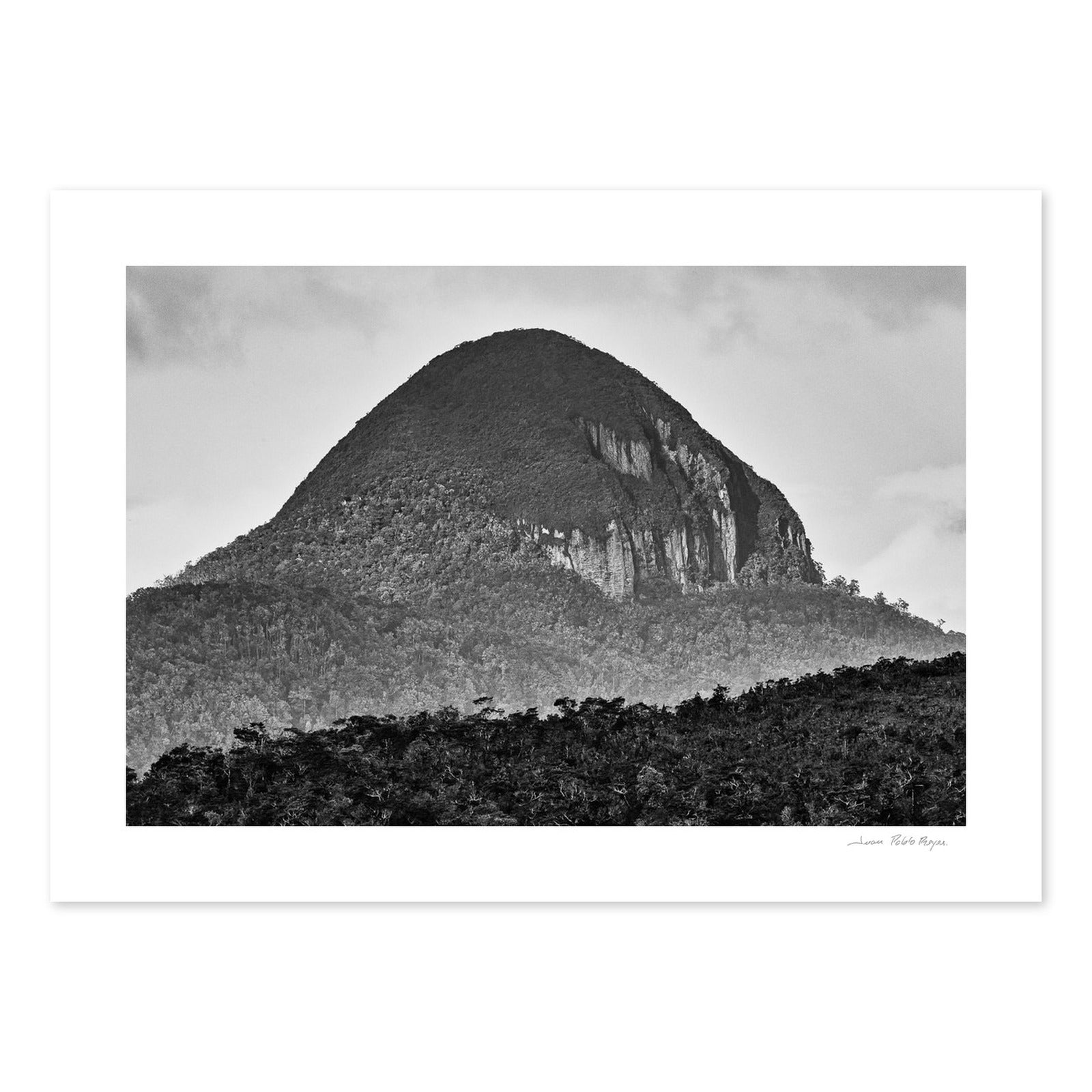 Pan de azúcar