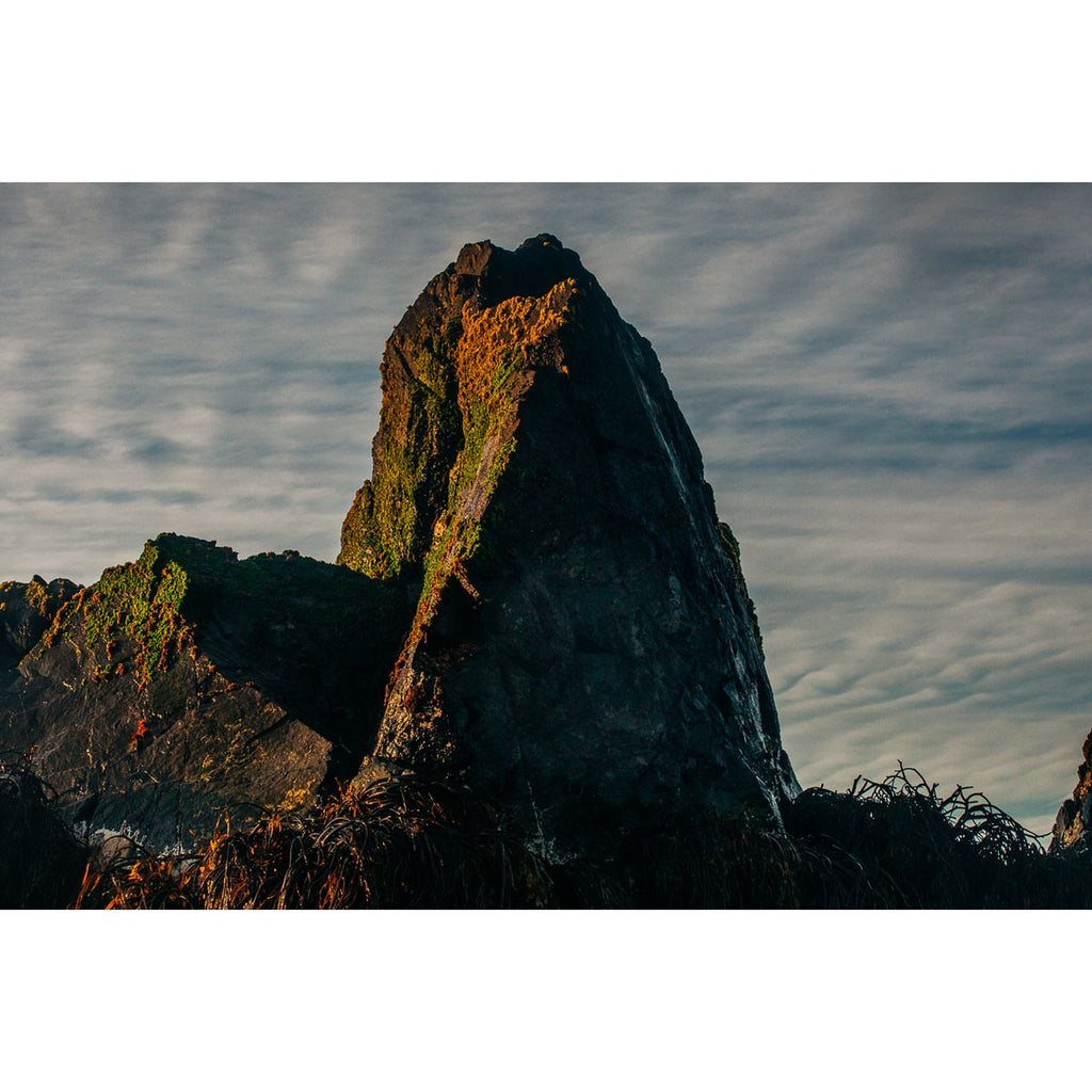 Pico del cormorán - fotografía original