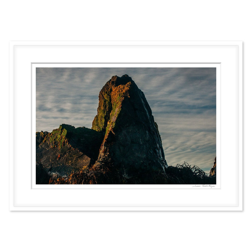 Pico del cormorán - enmarcado blanco