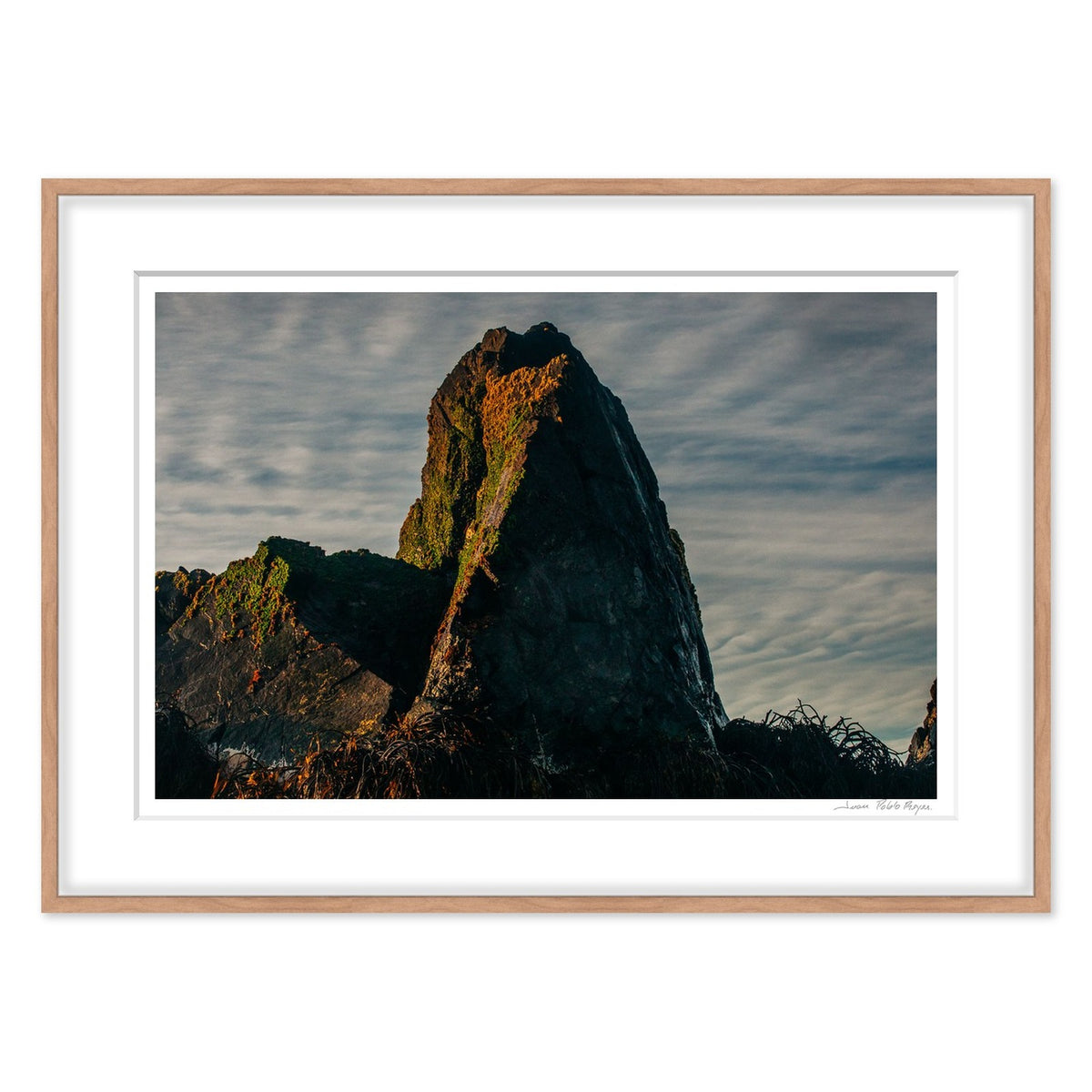 Pico del cormorán - enmarcado madera