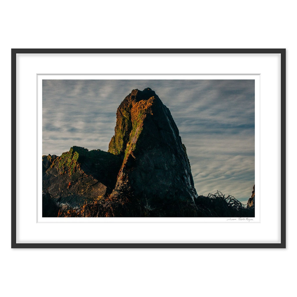 Pico del cormorán - enmarcado negro