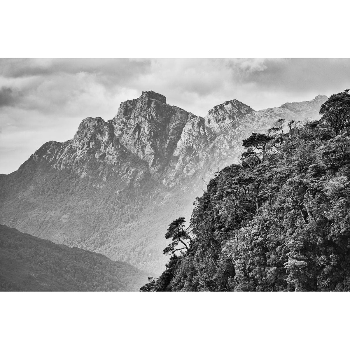 Pico Sulivan