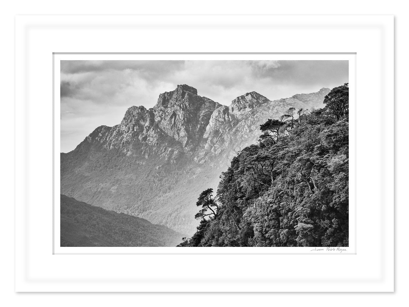 Pico Sulivan