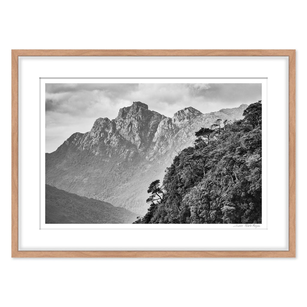 Pico Sulivan