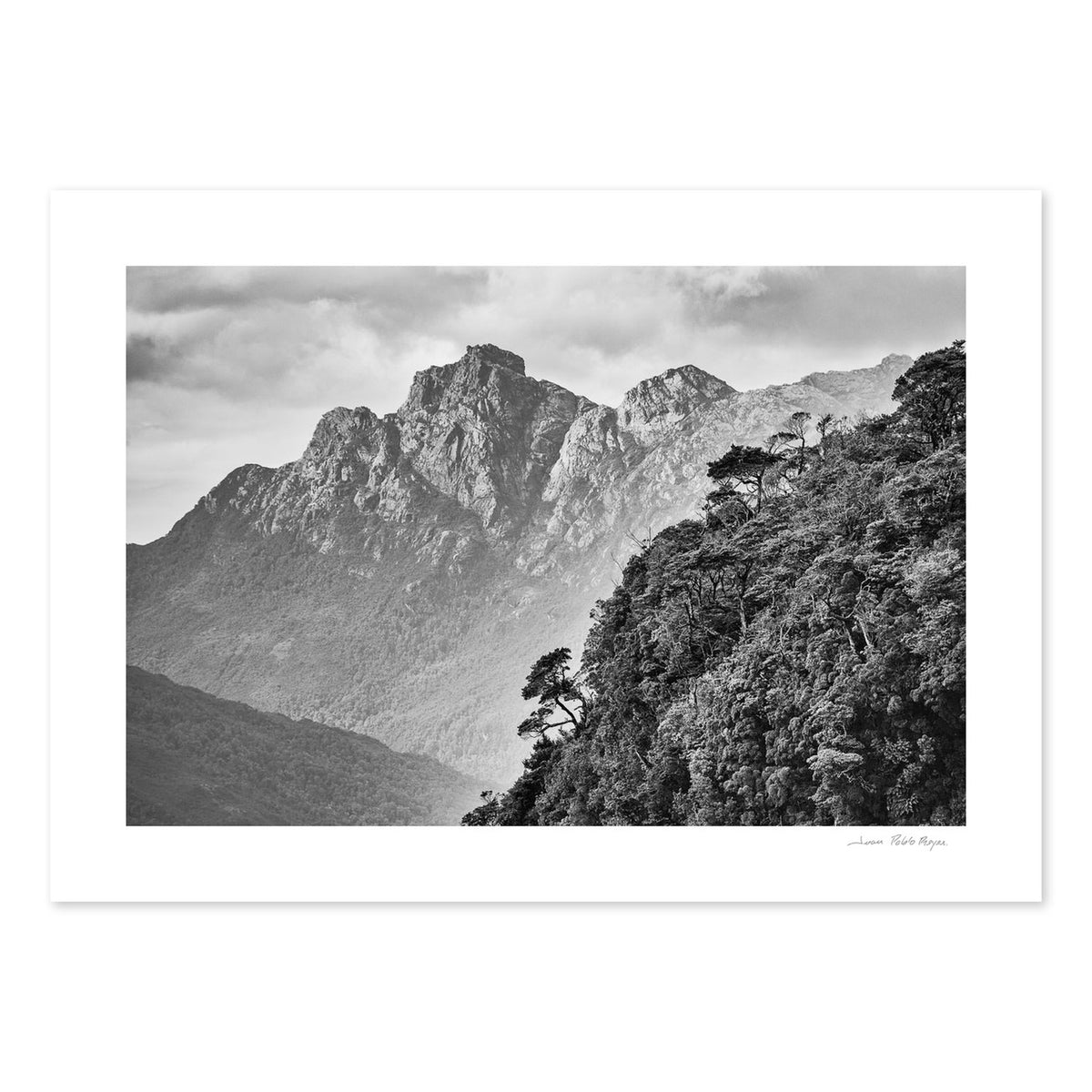 Pico Sulivan