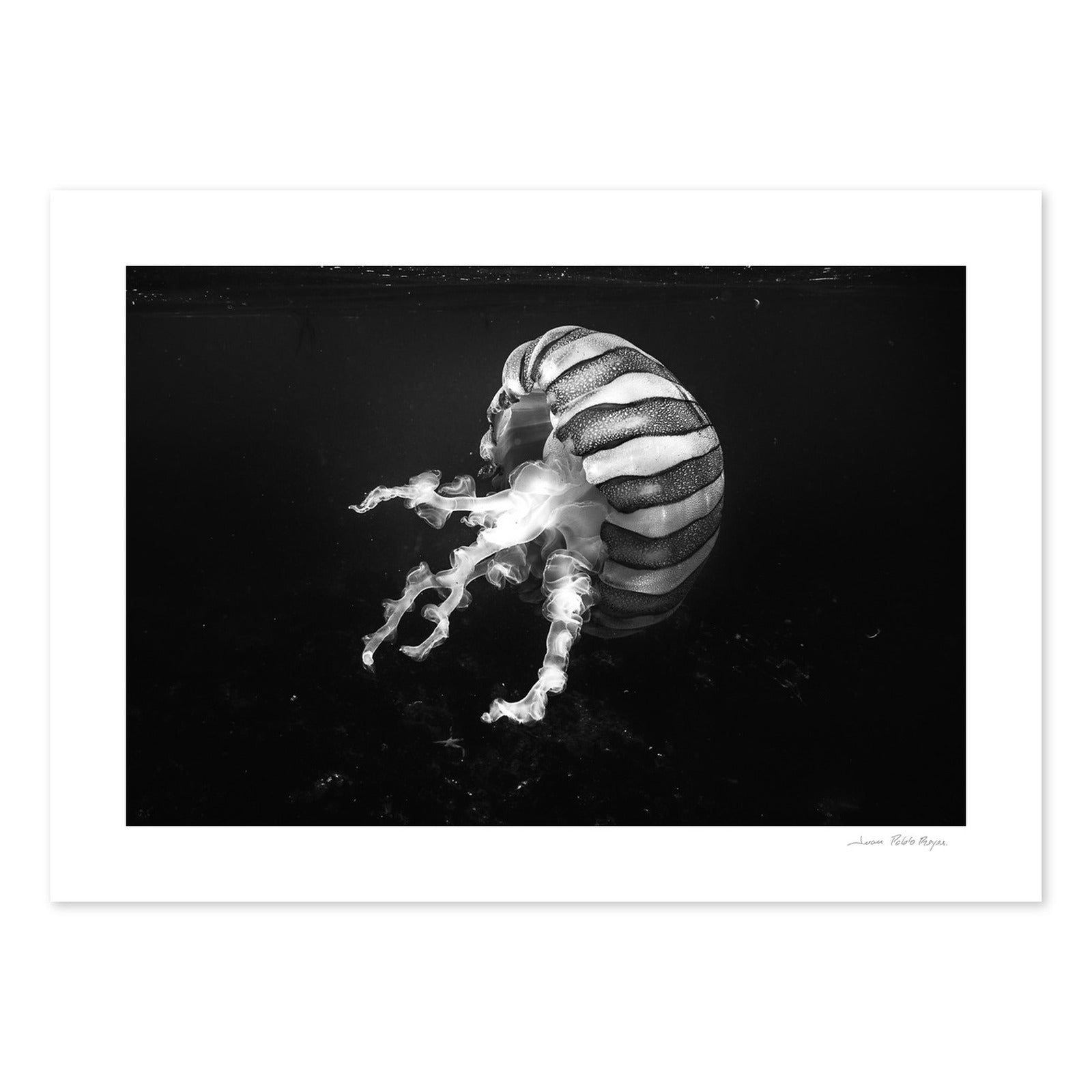Psicodelia