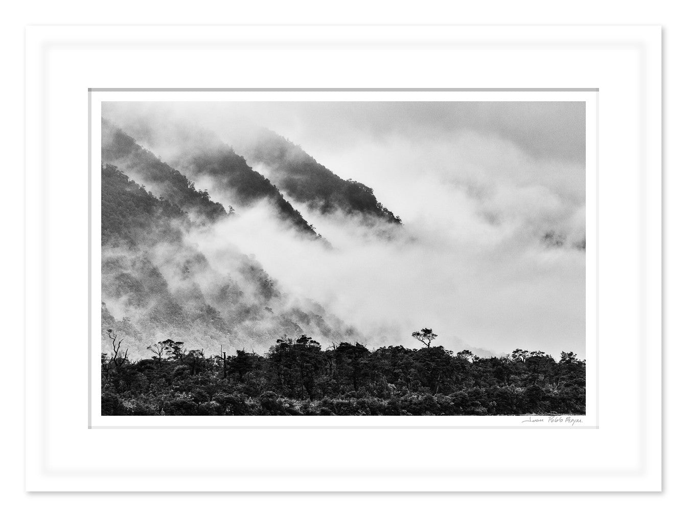 Reverencia terrenal
