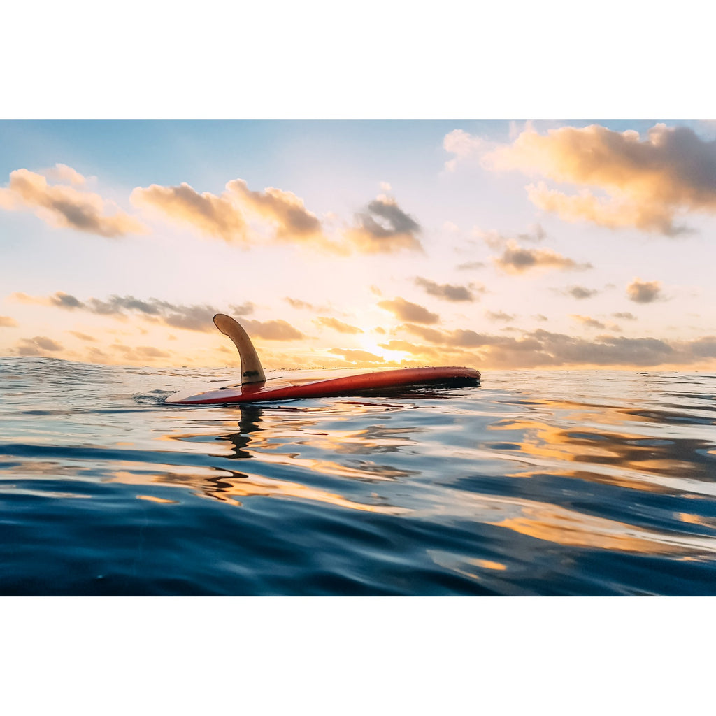 Single Fin
