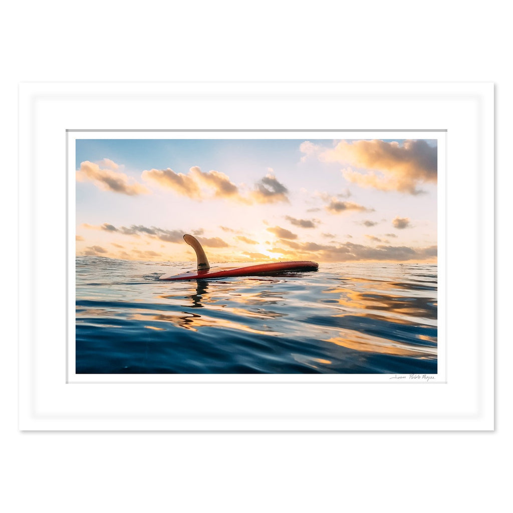 Single Fin