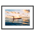 Single Fin