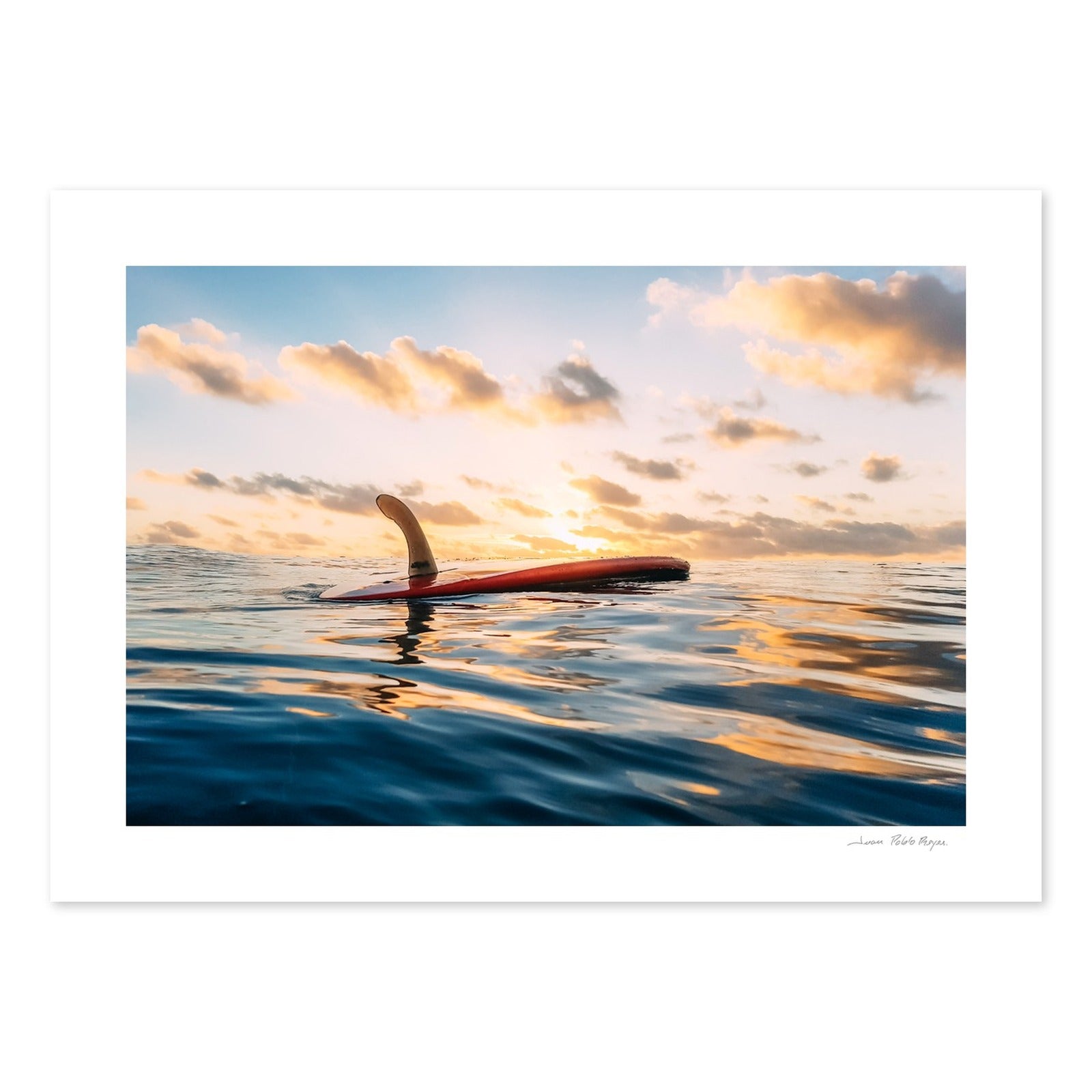 Single Fin