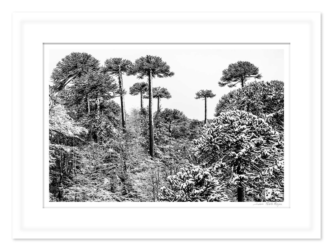 Superestructura natural