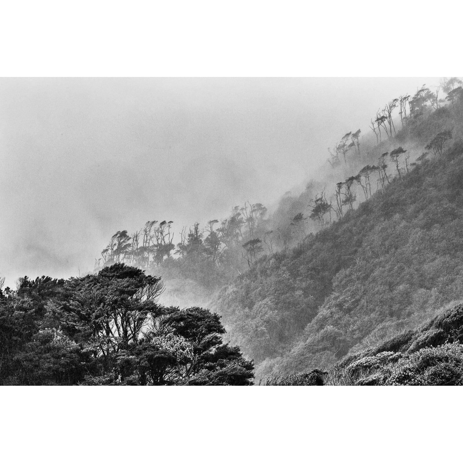 Tierras de Raper