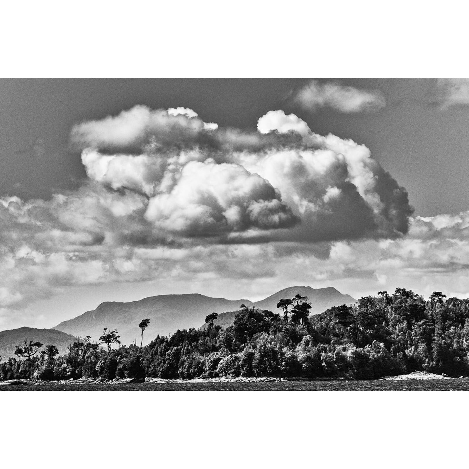yo-lo-cuido__original-cuadrado